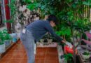 Ante las lluvias reiteradas, piden a la población reforzar la prevención del dengue