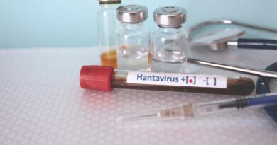 Hantavirus: llevan tranquilidad a la población formoseña y destacan las acciones preventivas permanentes
